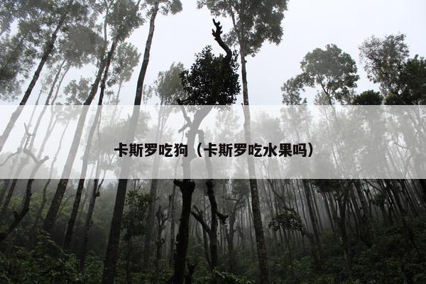 卡斯罗吃狗（卡斯罗吃水果吗）
