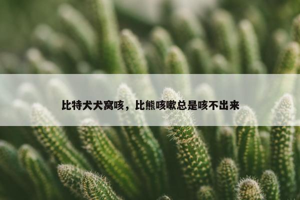 比特犬犬窝咳，比熊咳嗽总是咳不出来