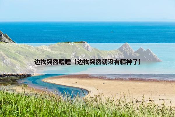 边牧突然嗜睡（边牧突然就没有精神了）