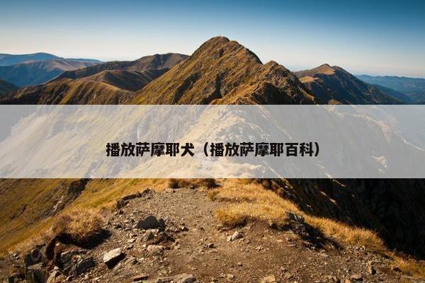 播放萨摩耶犬（播放萨摩耶百科）