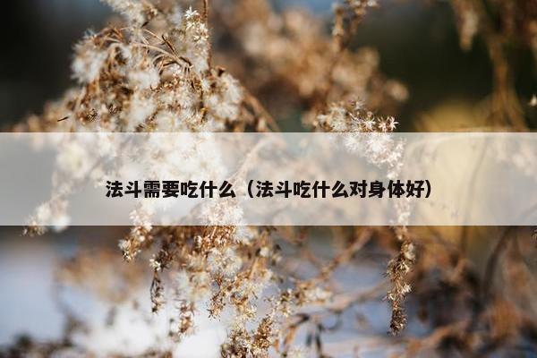 法斗需要吃什么（法斗吃什么对身体好）