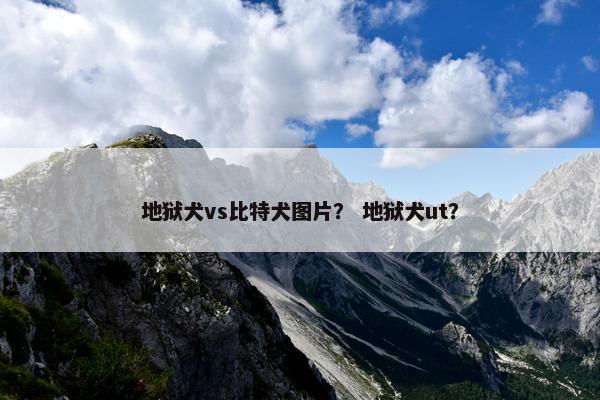 地狱犬vs比特犬图片？ 地狱犬ut？