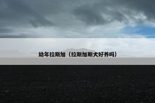 幼年拉斯加（拉斯加斯犬好养吗）