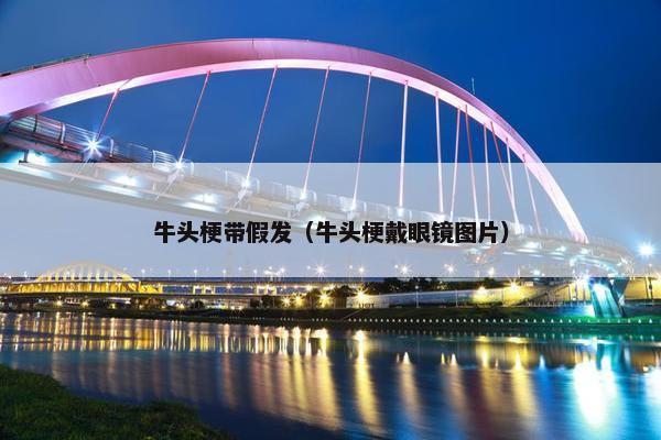 牛头梗带假发（牛头梗戴眼镜图片）