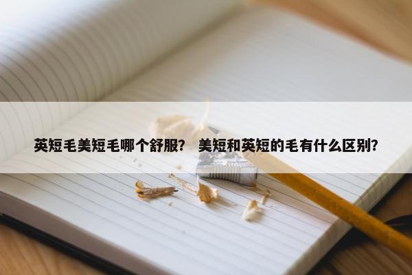 英短毛美短毛哪个舒服？ 美短和英短的毛有什么区别？