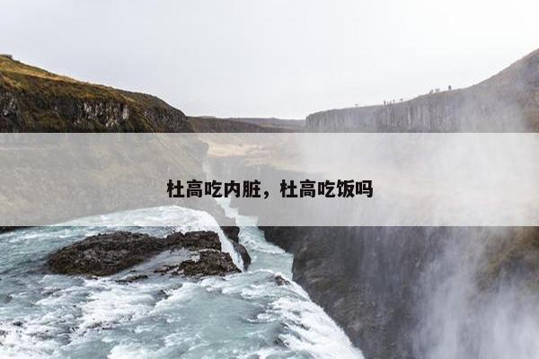 杜高吃内脏，杜高吃饭吗