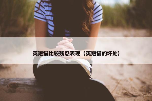 英短猫比较残忍表现（英短猫的坏处）