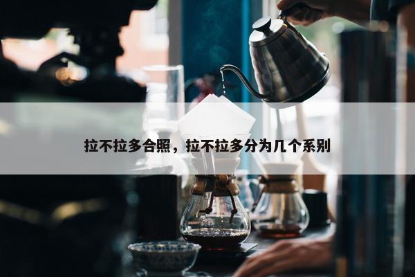 拉不拉多合照，拉不拉多分为几个系别