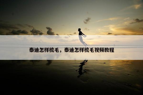 泰迪怎样梳毛，泰迪怎样梳毛视频教程