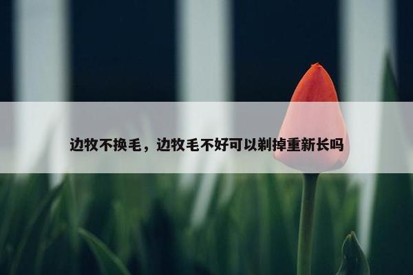 边牧不换毛，边牧毛不好可以剃掉重新长吗