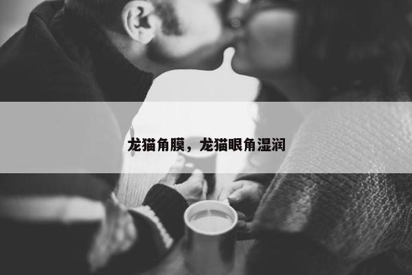 龙猫角膜，龙猫眼角湿润