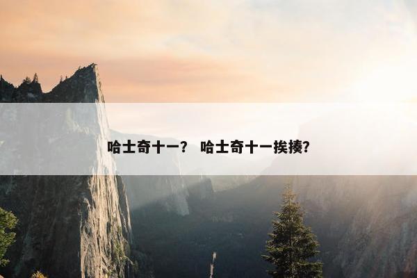 哈士奇十一？ 哈士奇十一挨揍？