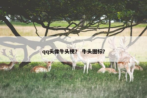 qq头像牛头梗？ 牛头图标？