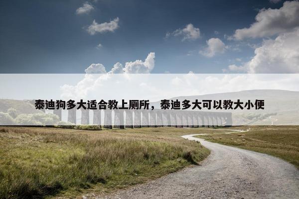 泰迪狗多大适合教上厕所，泰迪多大可以教大小便
