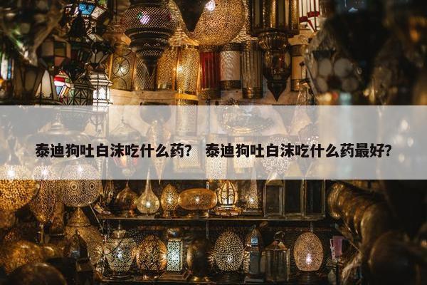 泰迪狗吐白沫吃什么药？ 泰迪狗吐白沫吃什么药最好？