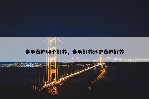 金毛泰迪哪个好养，金毛好养还是泰迪好养
