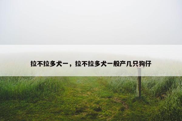 拉不拉多犬一，拉不拉多犬一般产几只狗仔