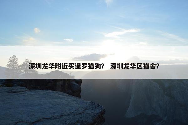 深圳龙华附近买暹罗猫狗？ 深圳龙华区猫舍？