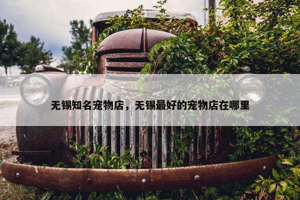 无锡知名宠物店，无锡最好的宠物店在哪里