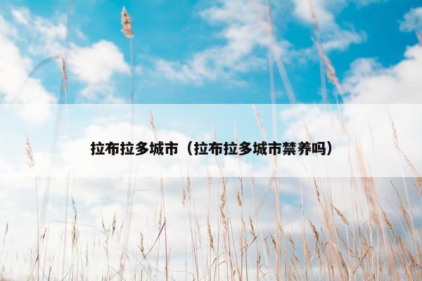 拉布拉多城市（拉布拉多城市禁养吗）