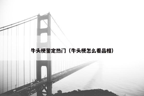 牛头梗鉴定热门（牛头梗怎么看品相）