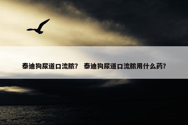 泰迪狗尿道口流脓？ 泰迪狗尿道口流脓用什么药？