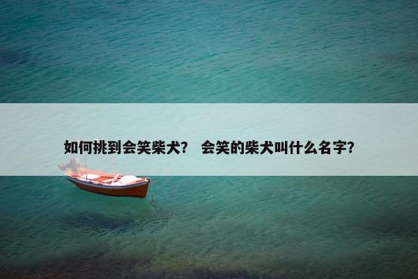 如何挑到会笑柴犬？ 会笑的柴犬叫什么名字？