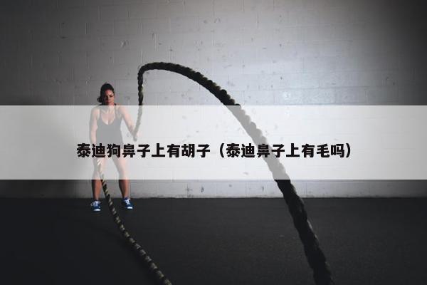 泰迪狗鼻子上有胡子（泰迪鼻子上有毛吗）
