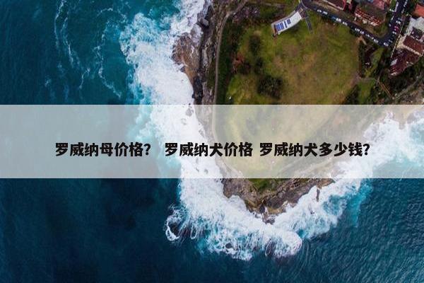 罗威纳母价格？ 罗威纳犬价格 罗威纳犬多少钱？
