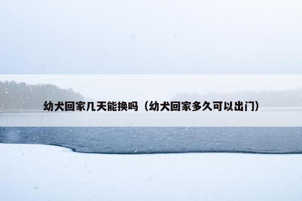 幼犬回家几天能换吗（幼犬回家多久可以出门）