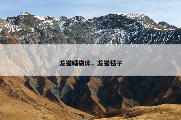 龙猫睡袋床，龙猫毯子