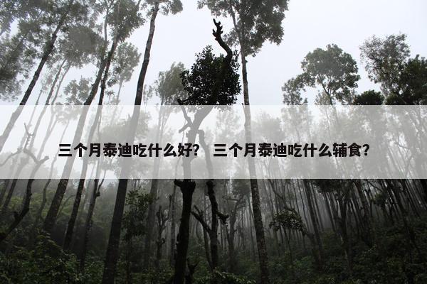 三个月泰迪吃什么好？ 三个月泰迪吃什么辅食？