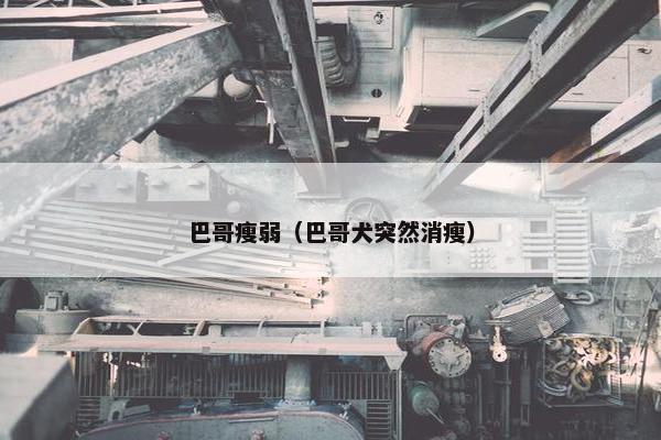巴哥瘦弱（巴哥犬突然消瘦）