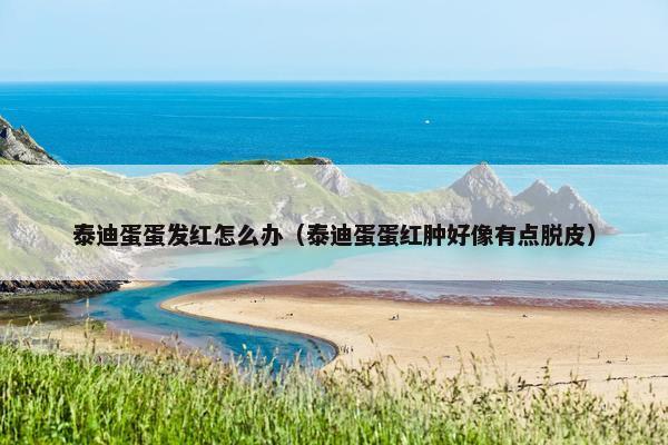 泰迪蛋蛋发红怎么办（泰迪蛋蛋红肿好像有点脱皮）