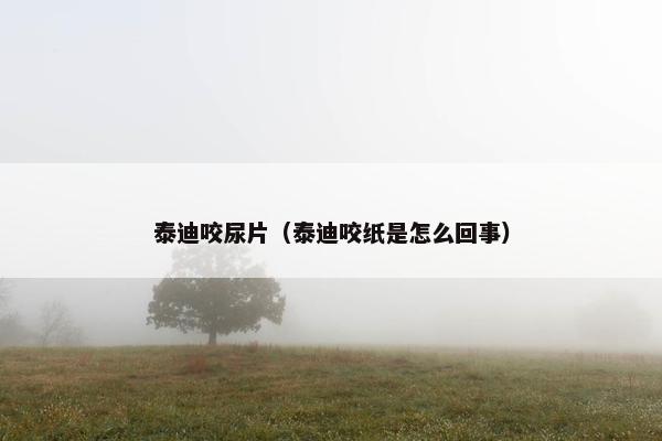 泰迪咬尿片（泰迪咬纸是怎么回事）