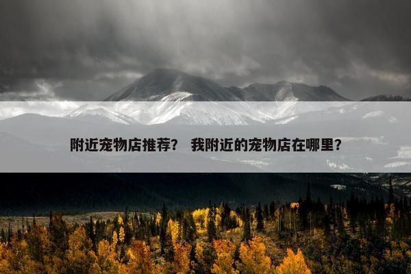附近宠物店推荐？ 我附近的宠物店在哪里？