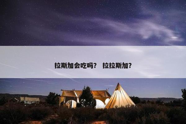拉斯加会吃吗？ 拉拉斯加？