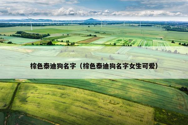 棕色泰迪狗名字（棕色泰迪狗名字女生可爱）