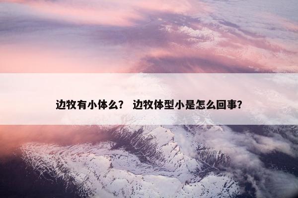边牧有小体么？ 边牧体型小是怎么回事？