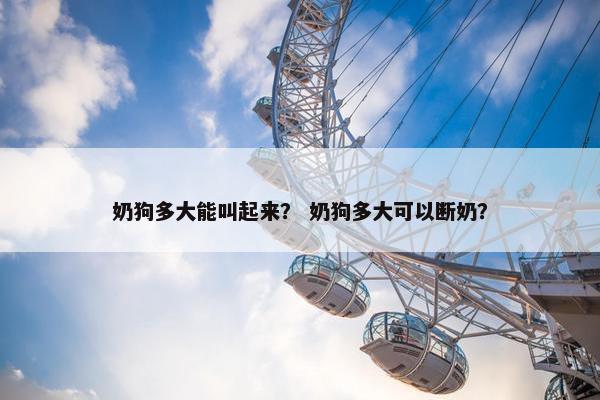 奶狗多大能叫起来？ 奶狗多大可以断奶？