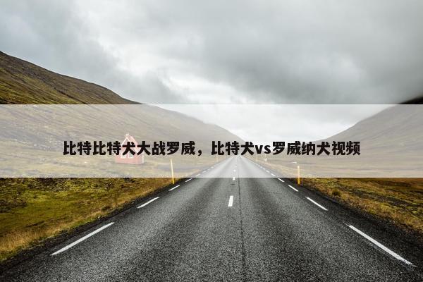 比特比特犬大战罗威，比特犬vs罗威纳犬视频