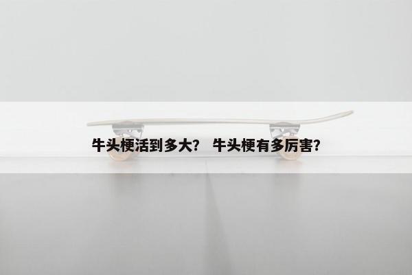牛头梗活到多大？ 牛头梗有多厉害？
