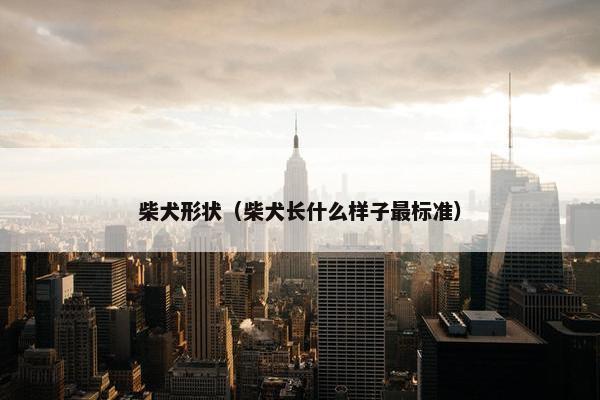 柴犬形状（柴犬长什么样子最标准）