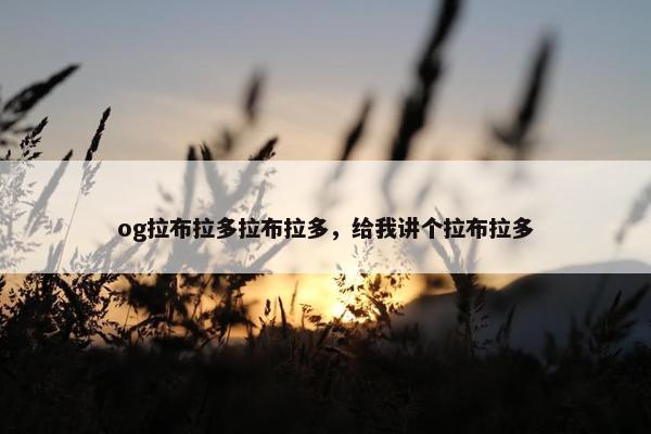 og拉布拉多拉布拉多，给我讲个拉布拉多
