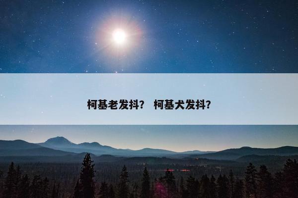 柯基老发抖？ 柯基犬发抖？