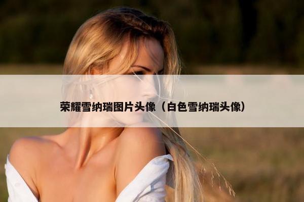 荣耀雪纳瑞图片头像（白色雪纳瑞头像）