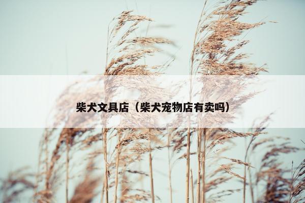 柴犬文具店（柴犬宠物店有卖吗）