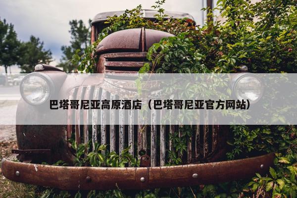 巴塔哥尼亚高原酒店（巴塔哥尼亚官方网站）