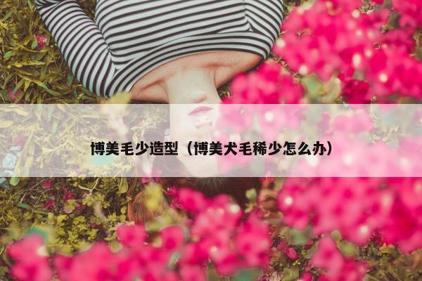 博美毛少造型（博美犬毛稀少怎么办）