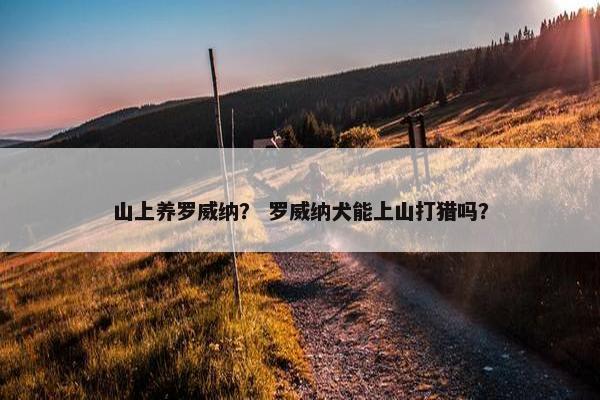 山上养罗威纳？ 罗威纳犬能上山打猎吗？